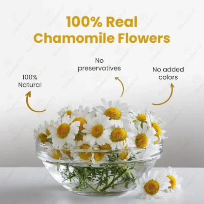 Chamomile Flowers Tea Jar image 2